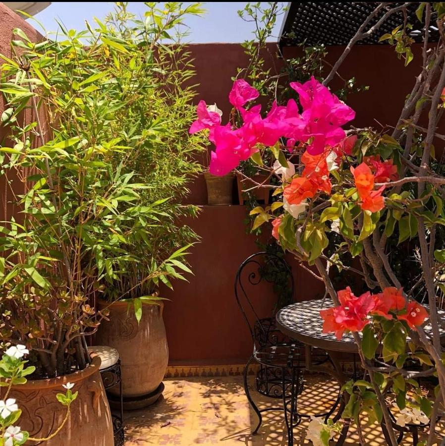 Riad Green Lotus Marrakesh Luaran gambar