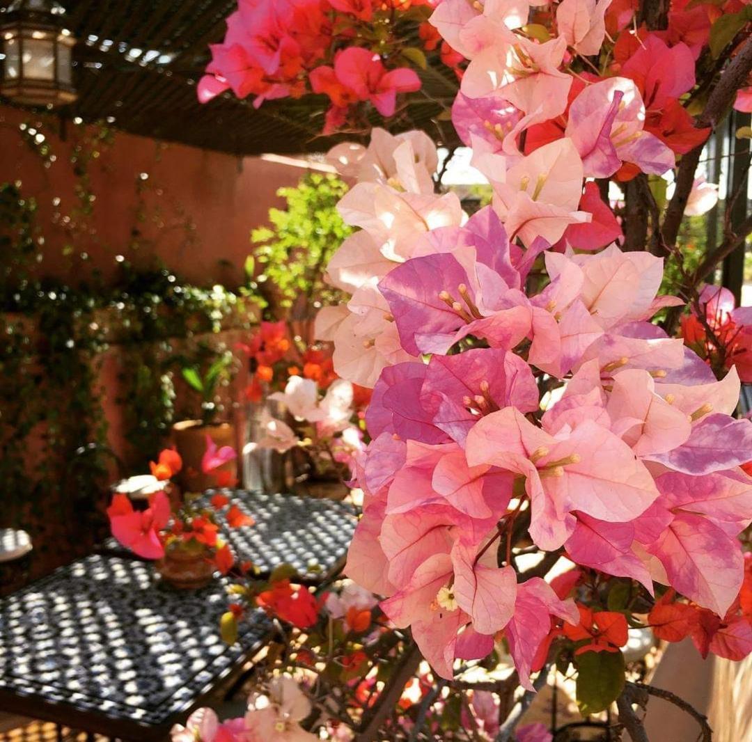 Riad Green Lotus Marrakesh Luaran gambar